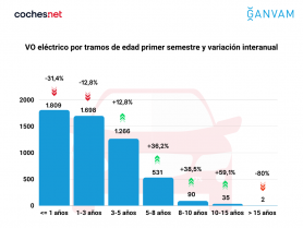 VO eléctrico por tramos de edad primer semestre 2023 y variación interanual