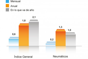 GRAFICA PRECIO NEUMÁTICO OCT 24