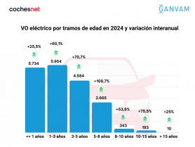 VO eléctrico por tramos de edad en 2024 y variación interanual