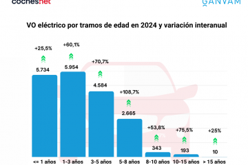 VO eléctrico por tramos de edad en 2024 y variación interanual