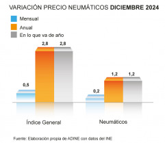 GRAFICA PRECIO NEUMÁTICO DIC 24