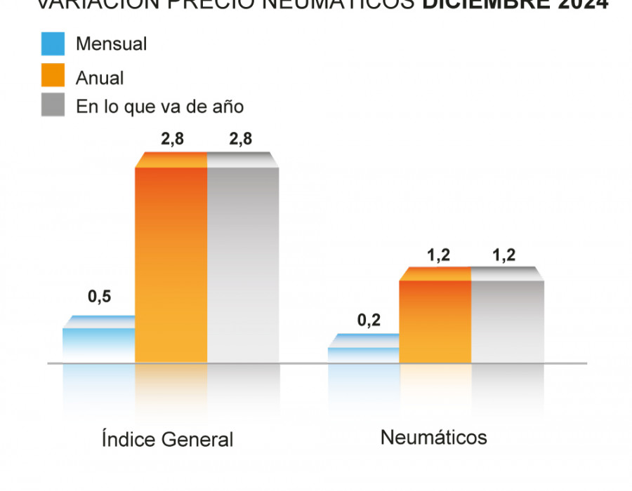 GRAFICA PRECIO NEUMÁTICO DIC 24