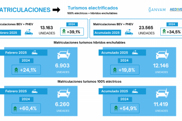 Matriculaciones turismos electrificados febrero 2025